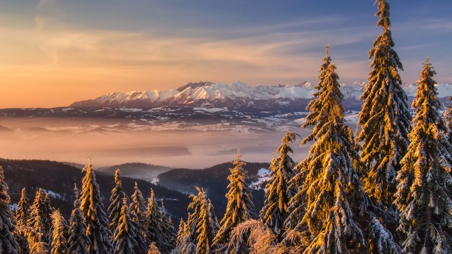 Wschód słońca na Turbaczu w Gorcach z panormą Tatr i ośnieżonymi drzewami