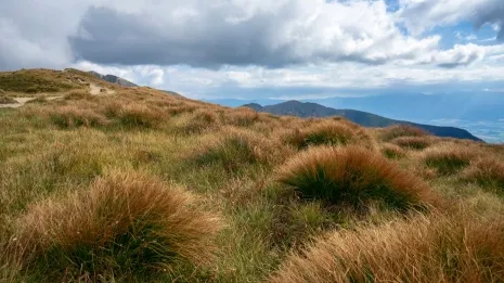 Tatry Wysokie a Tatry Zachodnie – czym się różnią?