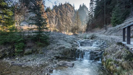 Mniej znane szlaki w Pieninach – cisza, natura i spokój